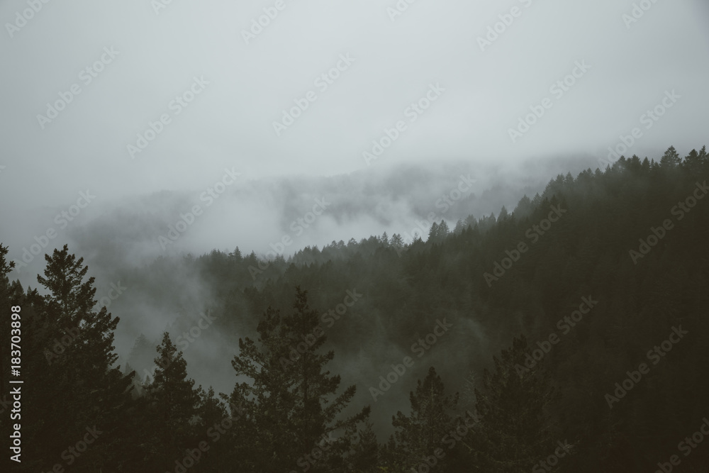 foggy mountain rainy day IV