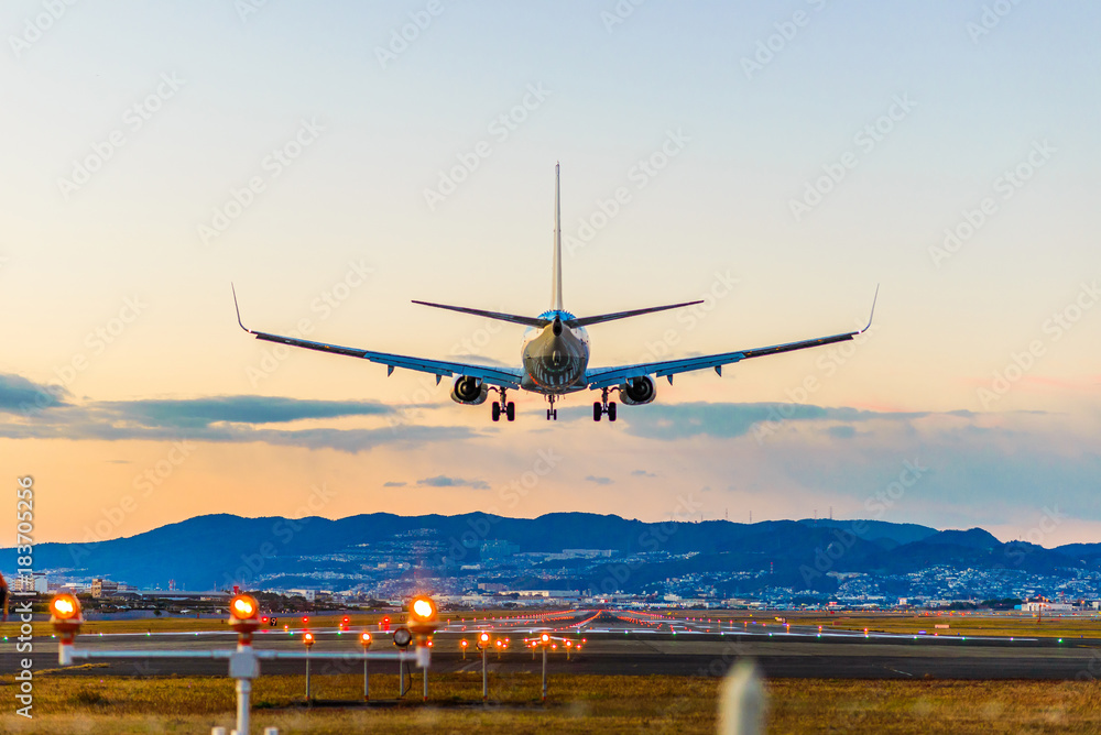 Fototapeta premium Lądowanie na lotnisku