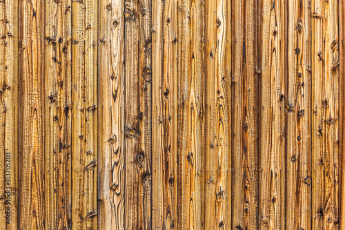 木 テクスチャー