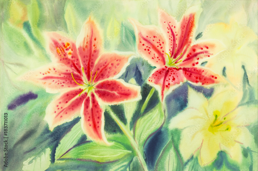 Obraz akwarela z kwiatami Lilly.