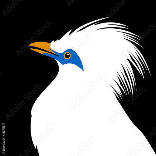 bali mynah bird head vector illustration flat style profile