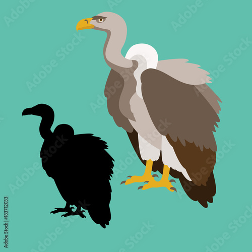 white  rumped  vultures black silhouette vector illustration flat style