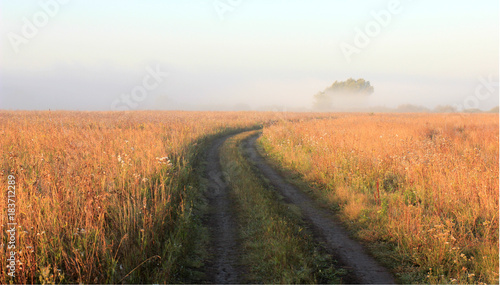 misty landscape with road in a field