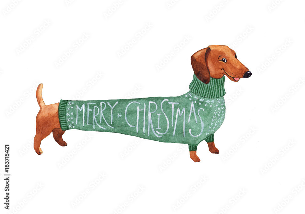 Dachshund Christmas dog in a green sweater watercolor Stock Photo