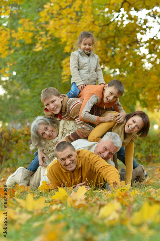 Fototapeta premium Big family having fun