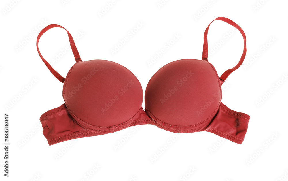 Female bra on white background. Female bra on white background.