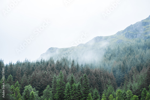 Scenic Landscape View of Mountain Forest with Fog, in Scottish Highland.