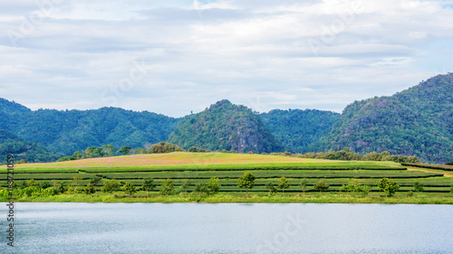 mountain range and lake at Singha park Chiang rai, Thailand.