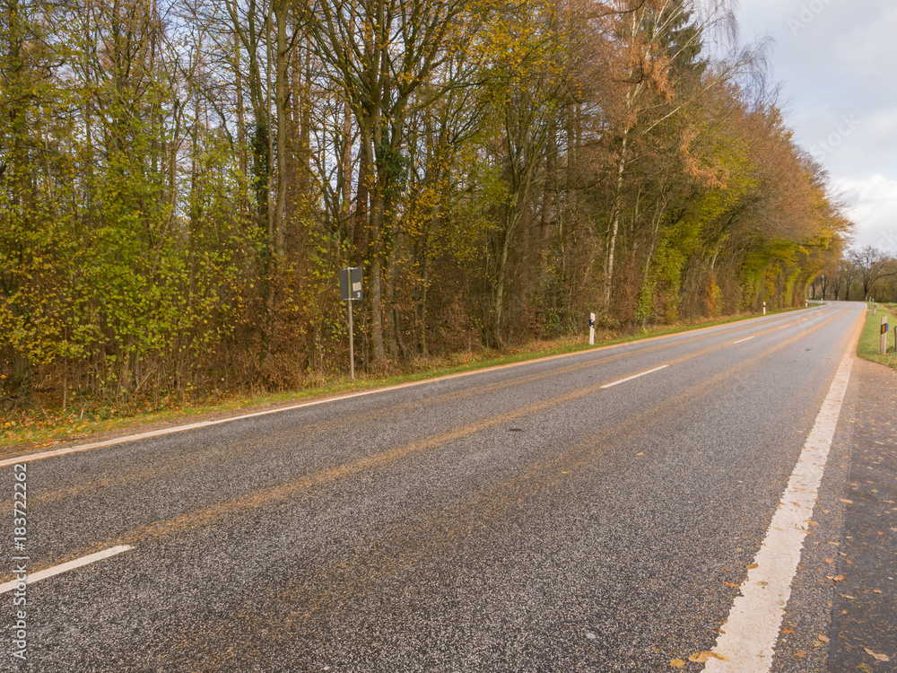 Fototapeta premium Straße im Herbst