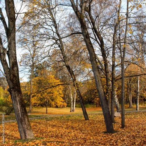 Norwegen, Norway, Oslo, Bygdøy, Herbst