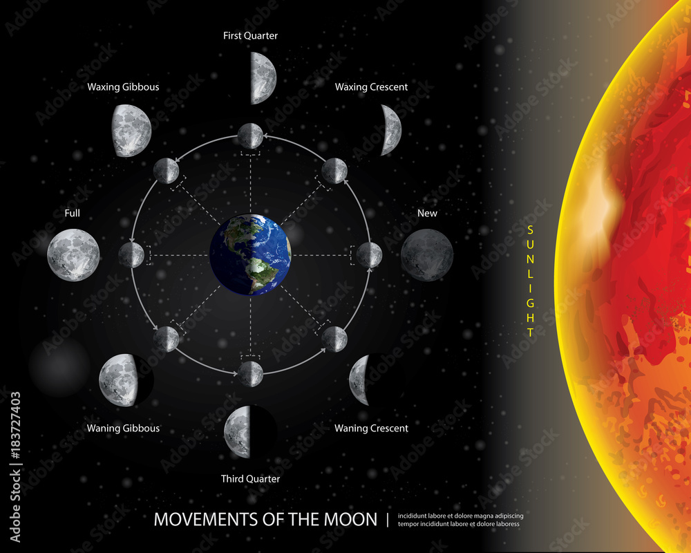 Naklejka premium Ruchy księżyca 8 realistycznych ilustracji wektorowych faz księżycowych