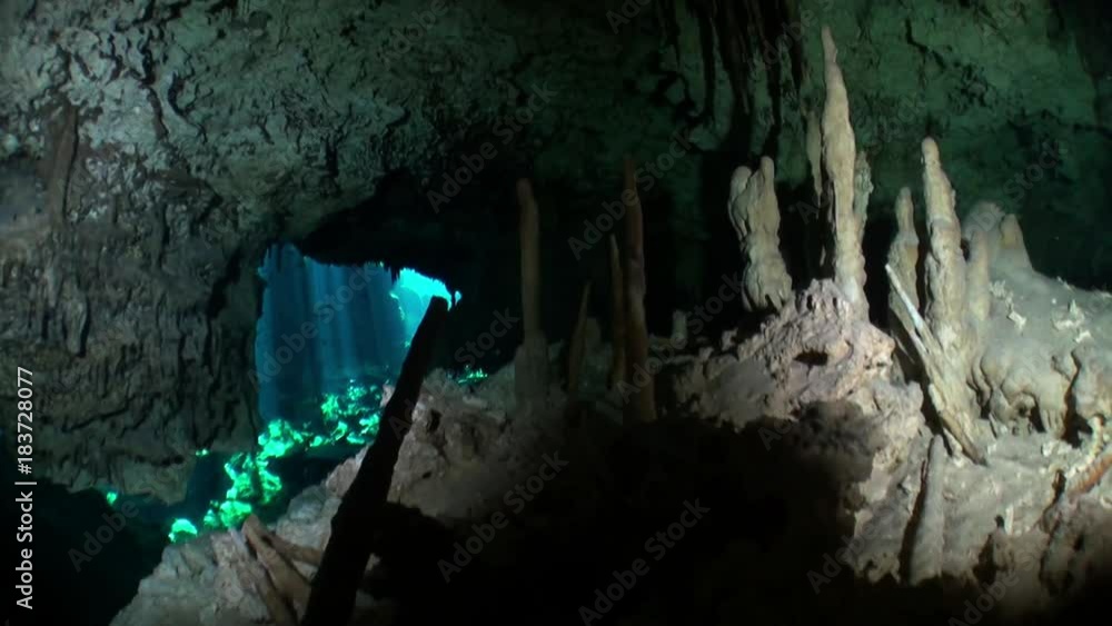 Yucatán caves of cenotes underwater in Mexico. Scuba diving in clean and clear underground water in reflection sunlight. Yucatán caves of cenotes underwater in Mexico. Scuba diving in clean and clear underground water in reflection sunlight.