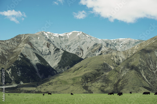 Paisaje montañoso con una pradera verde en un día soleado con algunas nubes y cielo azul. Hay vacas pastando.