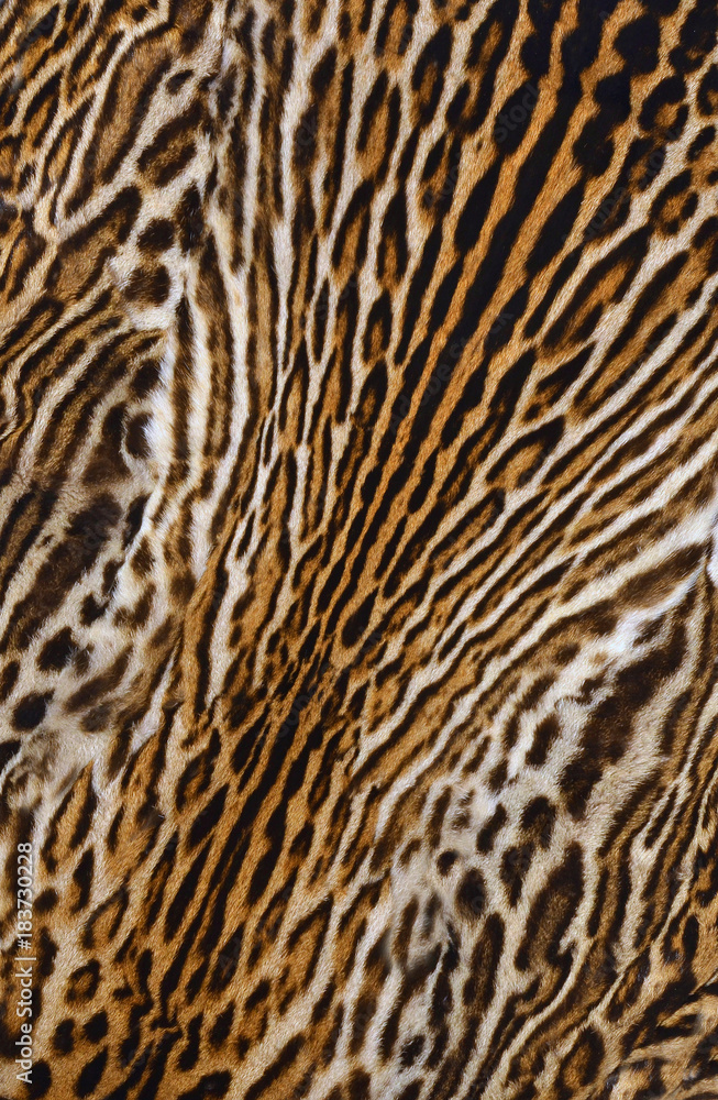 leopard background