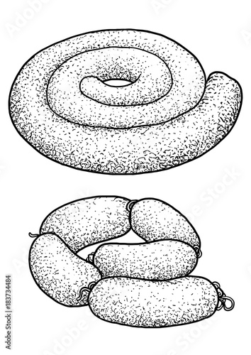 Rolled raw meat sausage illustration, drawing, engraving, ink, line art, vector