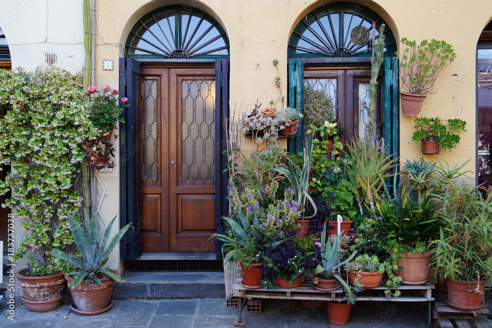 details of a door with plants in Lucca, Italy