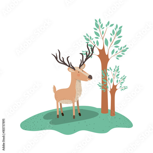 deer cartoon with long horns in forest next to the trees in colorful silhouette vector illustration