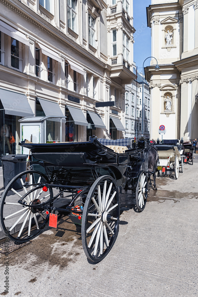 Fototapeta premium beautiful horse-drawn carriages on the streets of Vienna as background