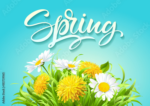 Fototapeta Naklejka Na Ścianę i Meble -  Inscription Spring Time on background with beautiful spring flowers.