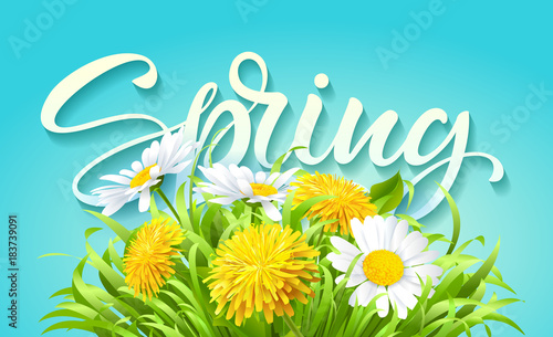 Fototapeta Naklejka Na Ścianę i Meble -  Inscription Spring Time on background with beautiful spring flowers.