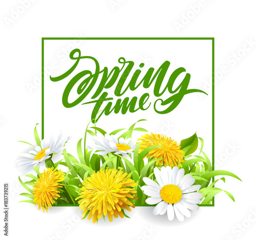 Fototapeta Naklejka Na Ścianę i Meble -  Inscription Spring Time on background with beautiful spring flowers