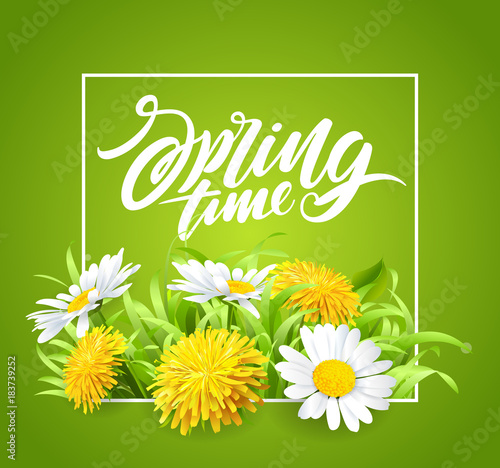 Fototapeta Naklejka Na Ścianę i Meble -  Inscription Spring Time on background with beautiful spring flowers.