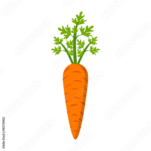 Carrot icon in a flat design on a white background. Vector illustration