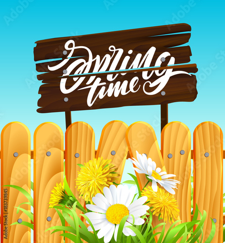 Fototapeta Naklejka Na Ścianę i Meble -  Inscription Spring Time on background with beautiful spring flowers
