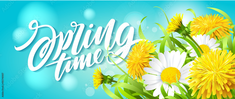 Obraz premium Czas wiosny napis na tle świeżej wiosny z trawą, mniszek lekarski i stokrotki.