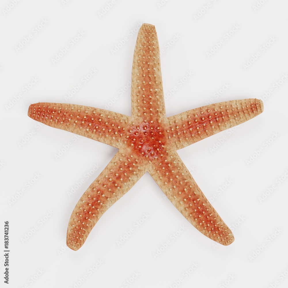 Realistic 3D Render of Starfish Realistic 3D Render of Starfish