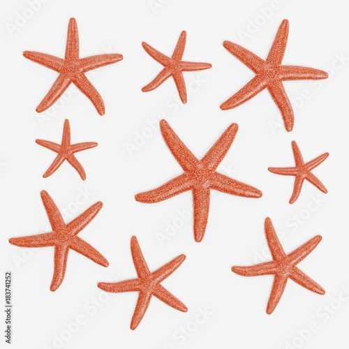 Realistic 3D Render of Starfishes