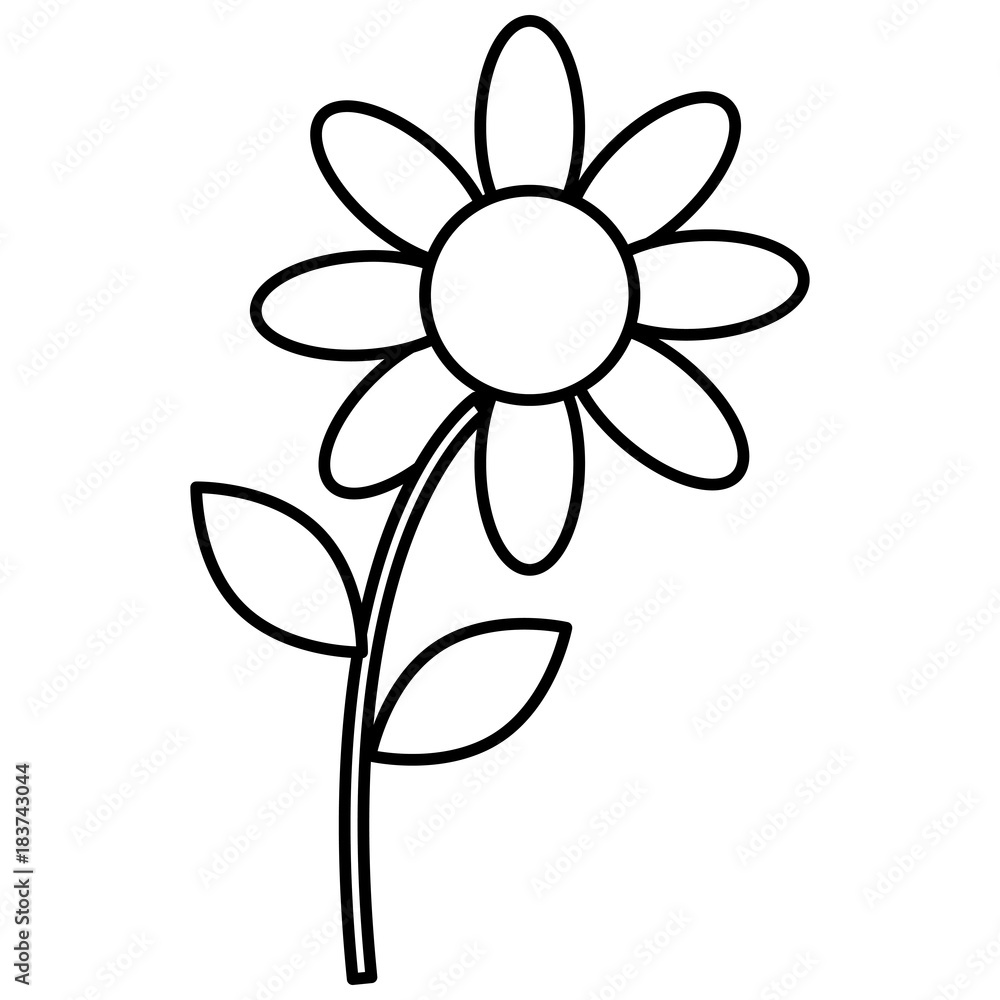 beautiful flower isolated icon vector illustration design beautiful flower isolated icon vector illustration design