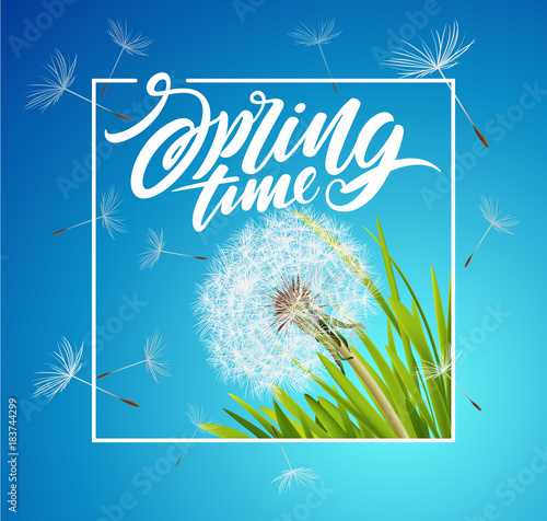 Fototapeta Naklejka Na Ścianę i Meble -  Beautiful vector dandelion with flying seeds on cloudy sky