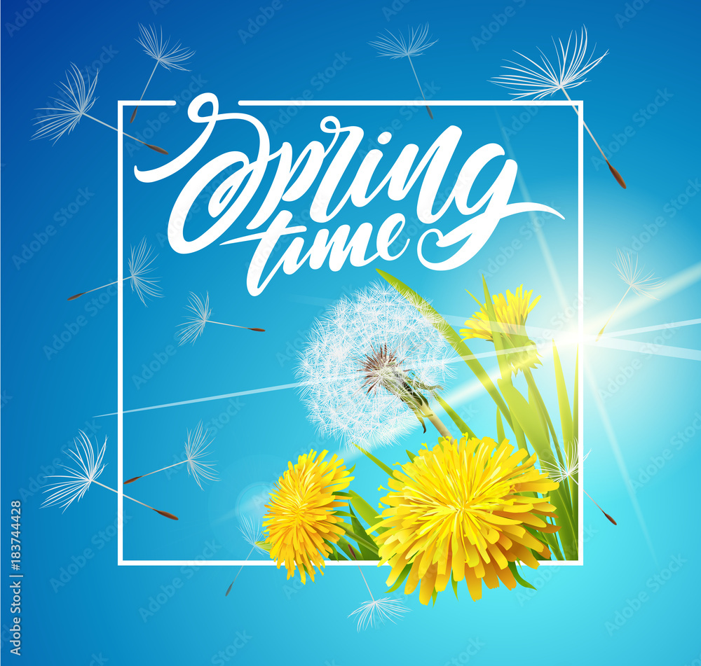 Obraz premium Beautiful vector dandelion with flying seeds on cloudy sky