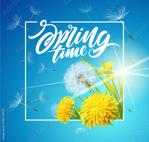 Fototapeta Naklejka Na Ścianę i Meble -  Beautiful vector dandelion with flying seeds on cloudy sky