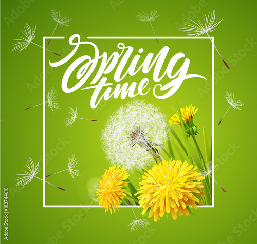 Fototapeta Naklejka Na Ścianę i Meble -  Beautiful vector dandelion with flying seeds on cloudy sky