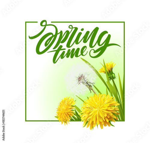 Fresh spring background with dandelions. Vector illustration