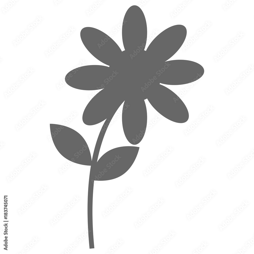 beautiful flower isolated icon vector illustration design beautiful flower isolated icon vector illustration design