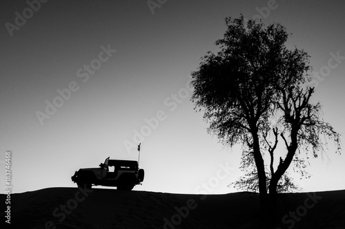 Sunset in the Desert