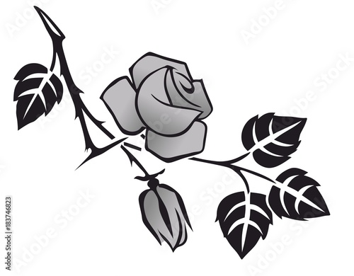 rose0712a
