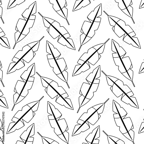 Fototapeta Naklejka Na Ścianę i Meble -  seamless pattern feathers decoration ornament vector illustration