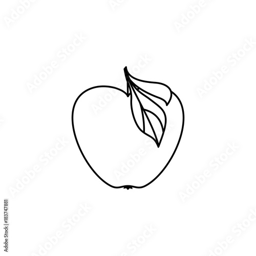 vector flat sketch style black and white contour apple. Isolated illustration on a white background. Healthy vegetarian eating, dieting and lifestyle design object.