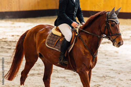 Horse jumping contest. The Equestrian Sports. Horseman sitting in saddle