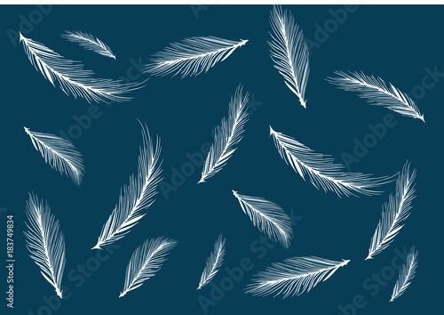 Wallpaper Mural Abstract of bird feather for background wallpaper pattern illustration vector Torontodigital.ca