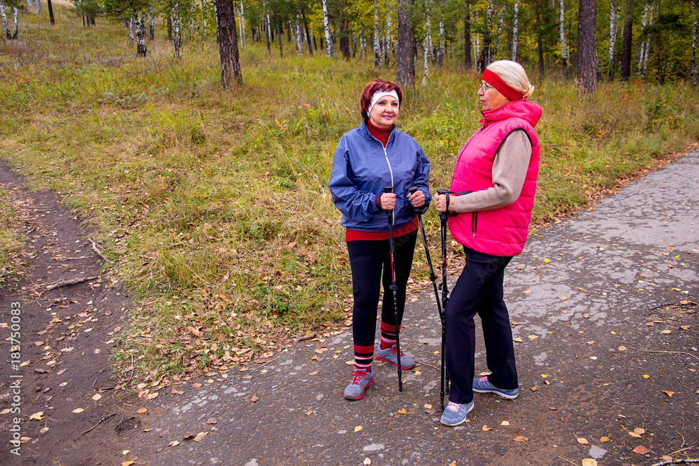 Fototapeta premium Senior ladies nordic walking