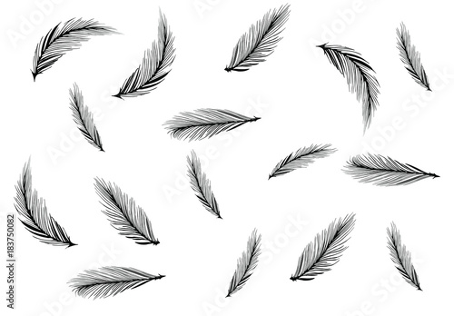 Abstract of bird feather for background wallpaper pattern illustration vector