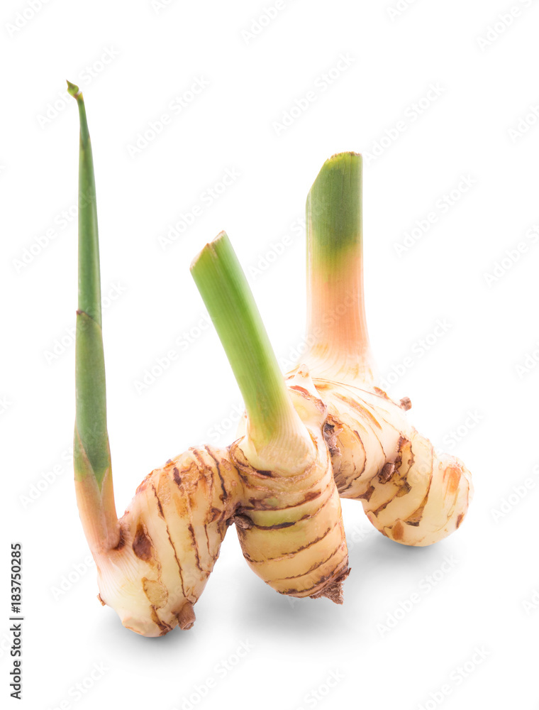 Galangal isolated on white background StockFoto Adobe Stock