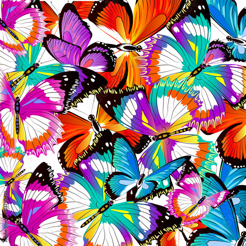 beautiful color butterflies set  isolated  on a white