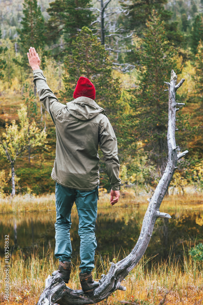 Naklejka premium Man traveler in forest landscape Travel lifestyle adventure concept survival into the wild vacations