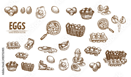 Digital vector detailed line art splitted scratch